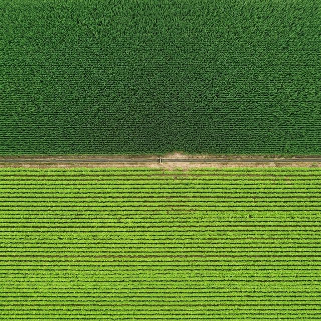 Soil Monitor